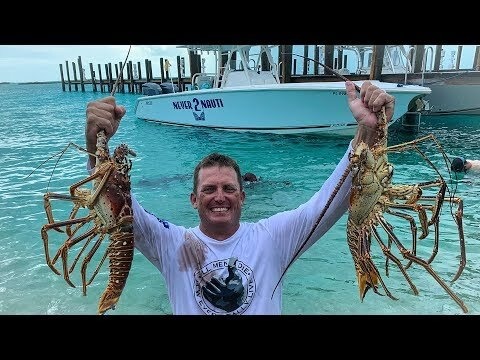 Massive Lobster Catch Clean Cook A New Way To Clean And Cook