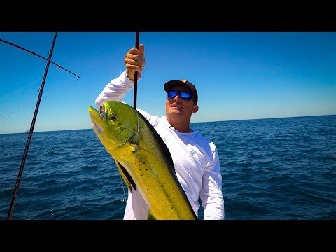 mahi barracuda crusted catch