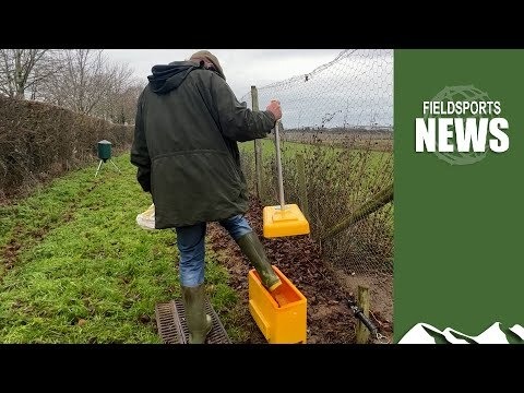 Bird Flu And The 2023/2024 Pheasant Shooting Season